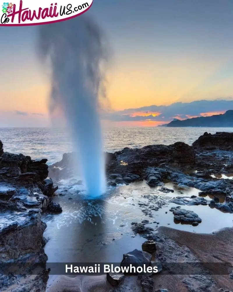 Hawaii Blowholes