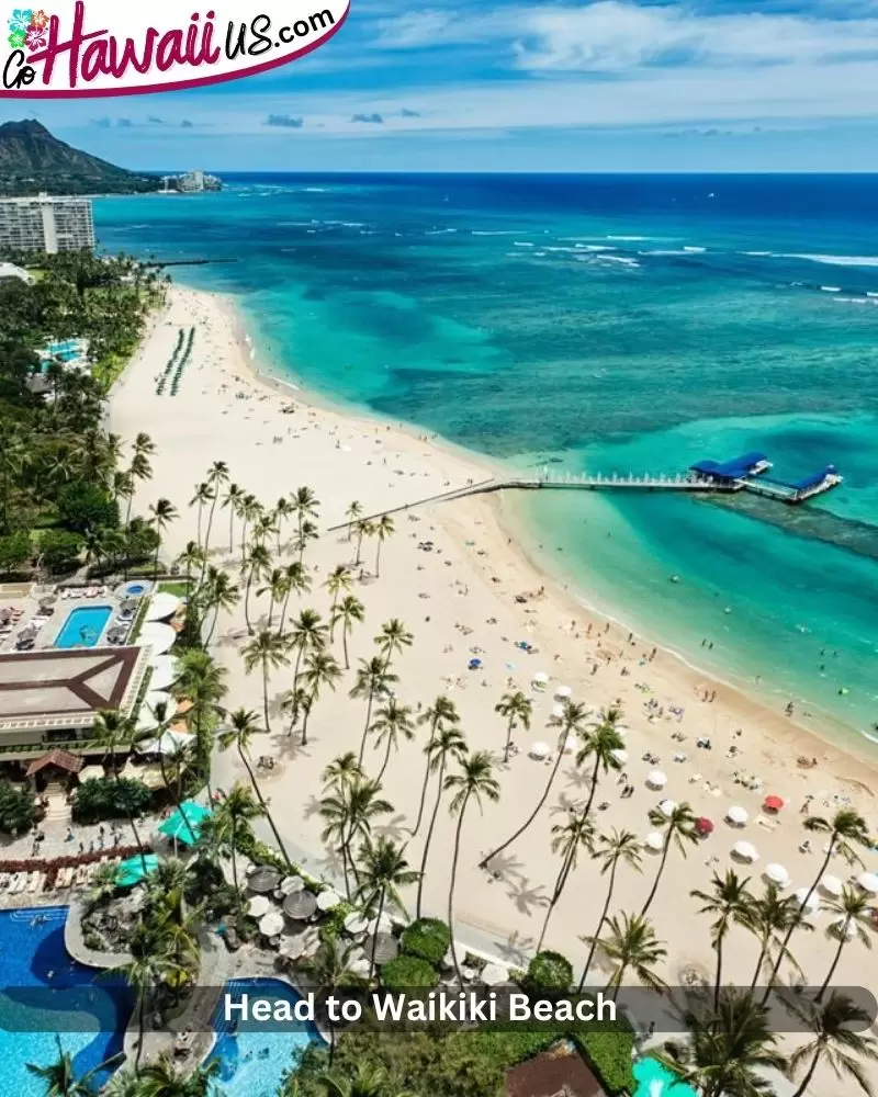 Head to Waikiki Beach