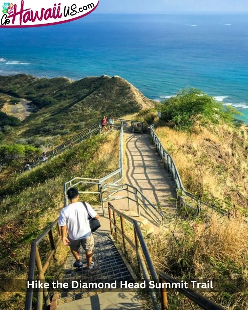  Hike the Diamond Head Summit Trail