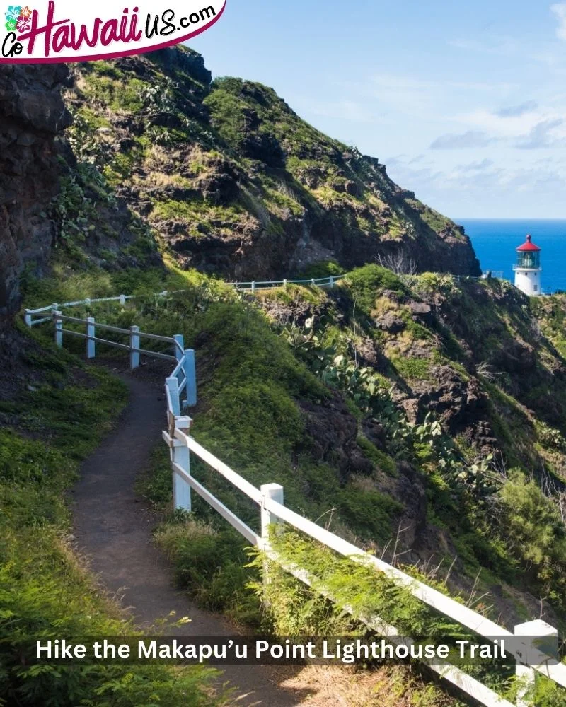 Hike the Makapu’u Point Lighthouse Trail