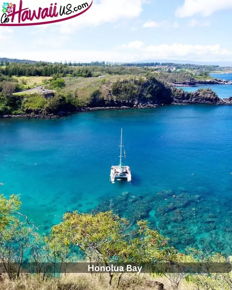 Honolua Bay