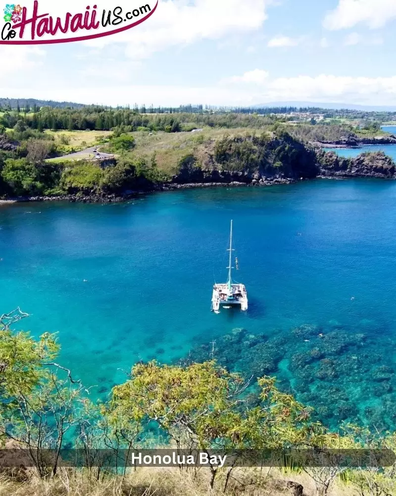 Honolua Bay