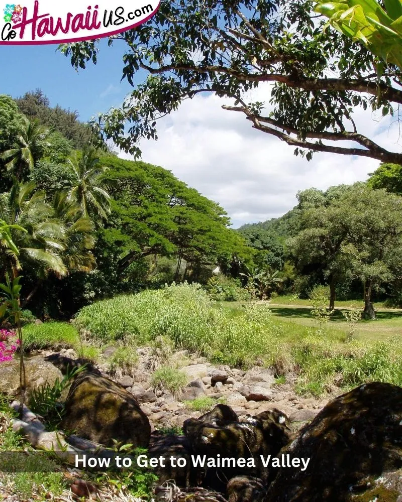 How to Get to Waimea Valley