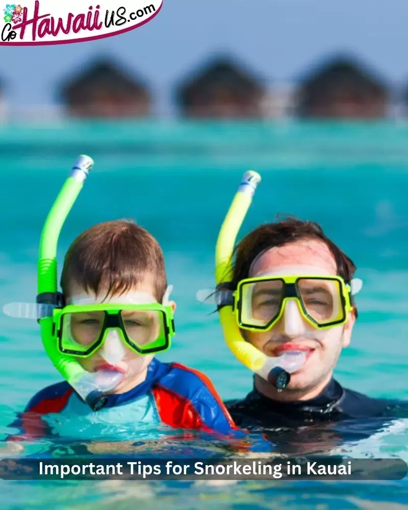 Important Tips for Snorkeling in Kauai