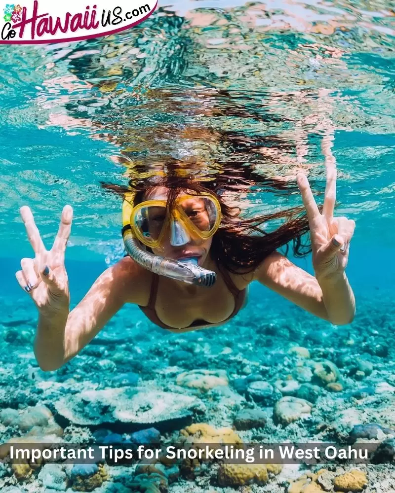 Important Tips for Snorkeling in West Oahu