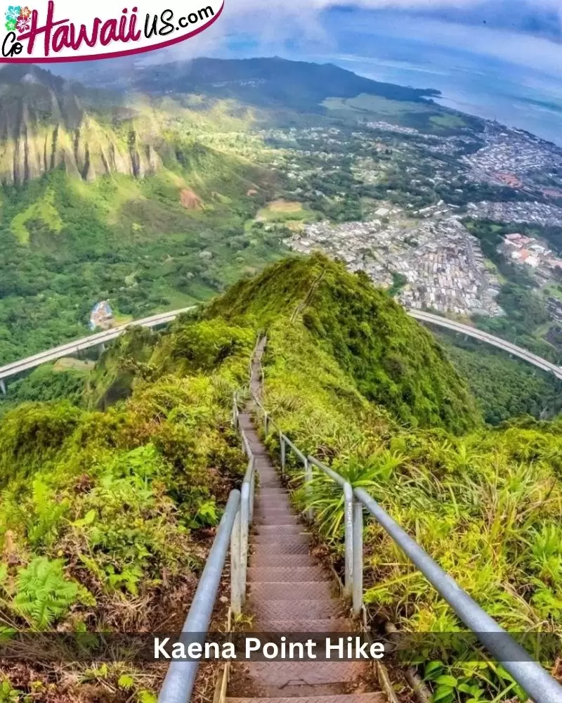 Kaena Point Hike