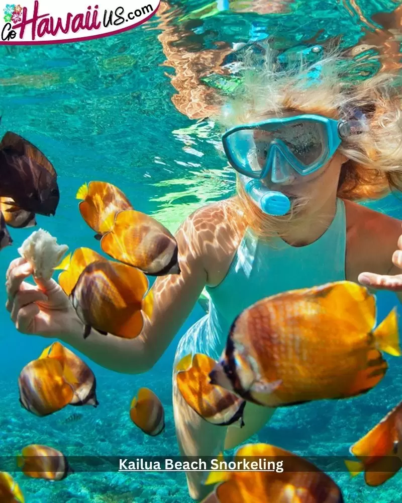 Kailua Beach Snorkeling