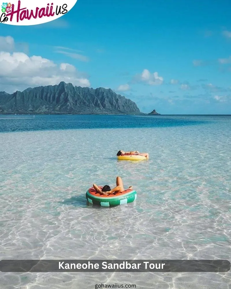  Kaneohe Sandbar Tour