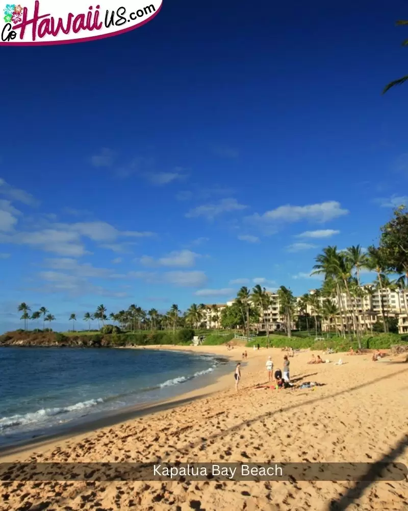 Kapalua Bay Beach