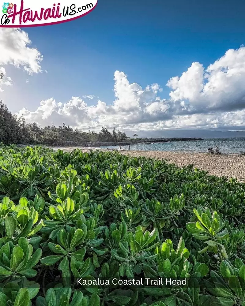 Kapalua Coastal Trail Head