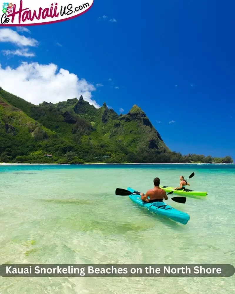  Kauai Snorkeling Beaches on the North Shore