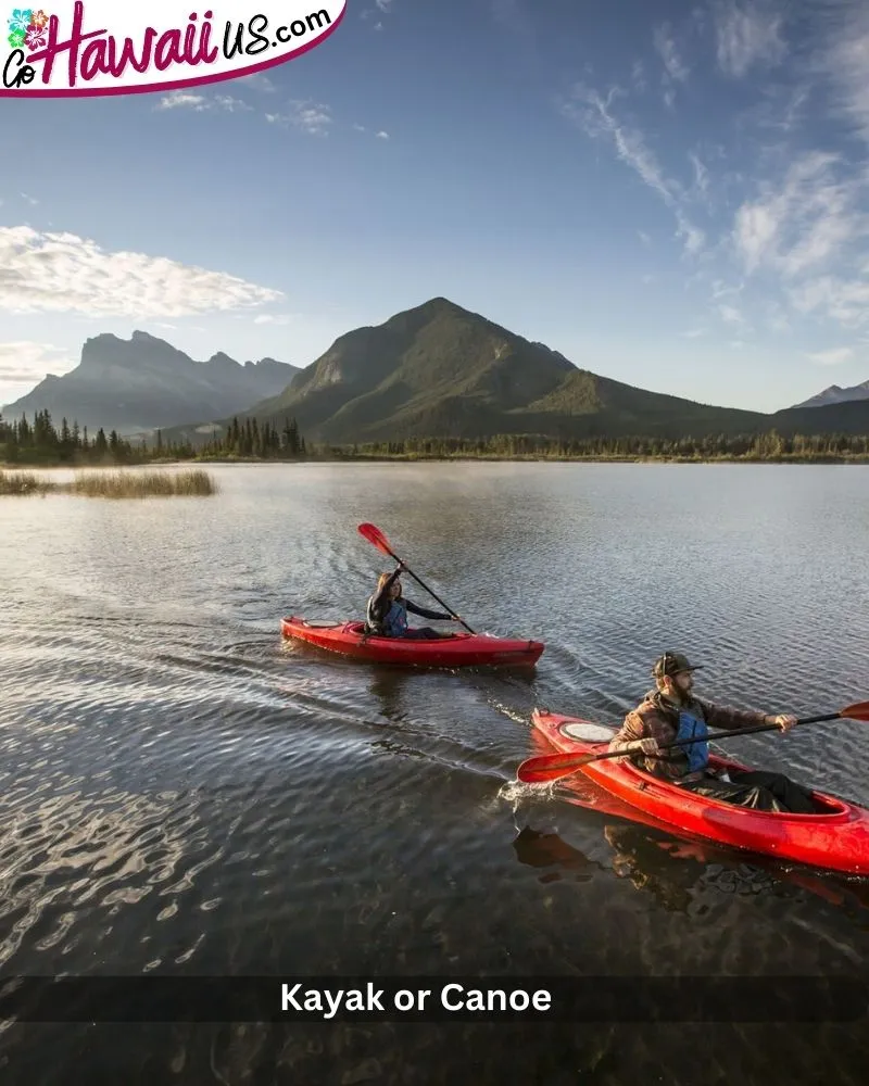 Kayak or Canoe 