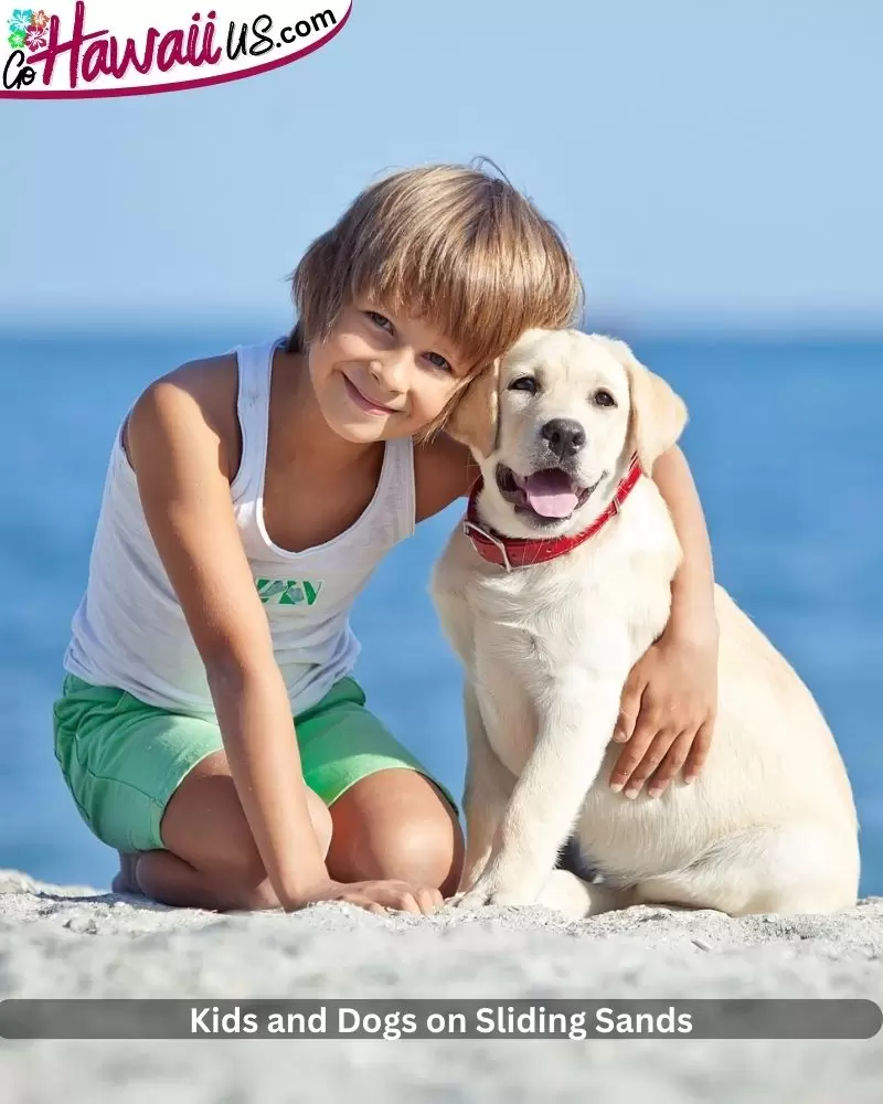  Kids and Dogs on Sliding Sands