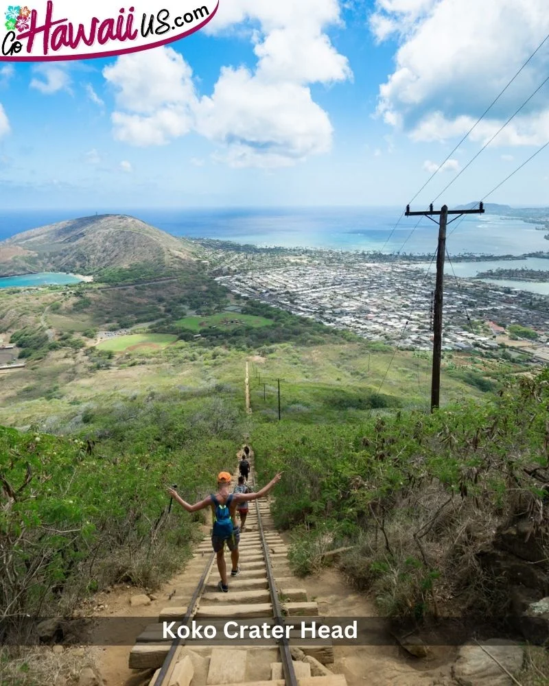 Koko Crater Head 