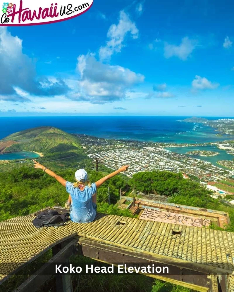 Koko Head Elevation