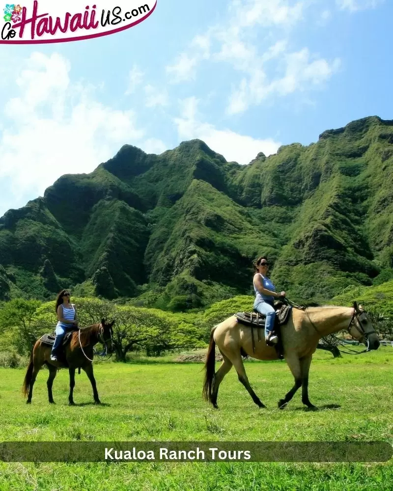 Kualoa Ranch Tours