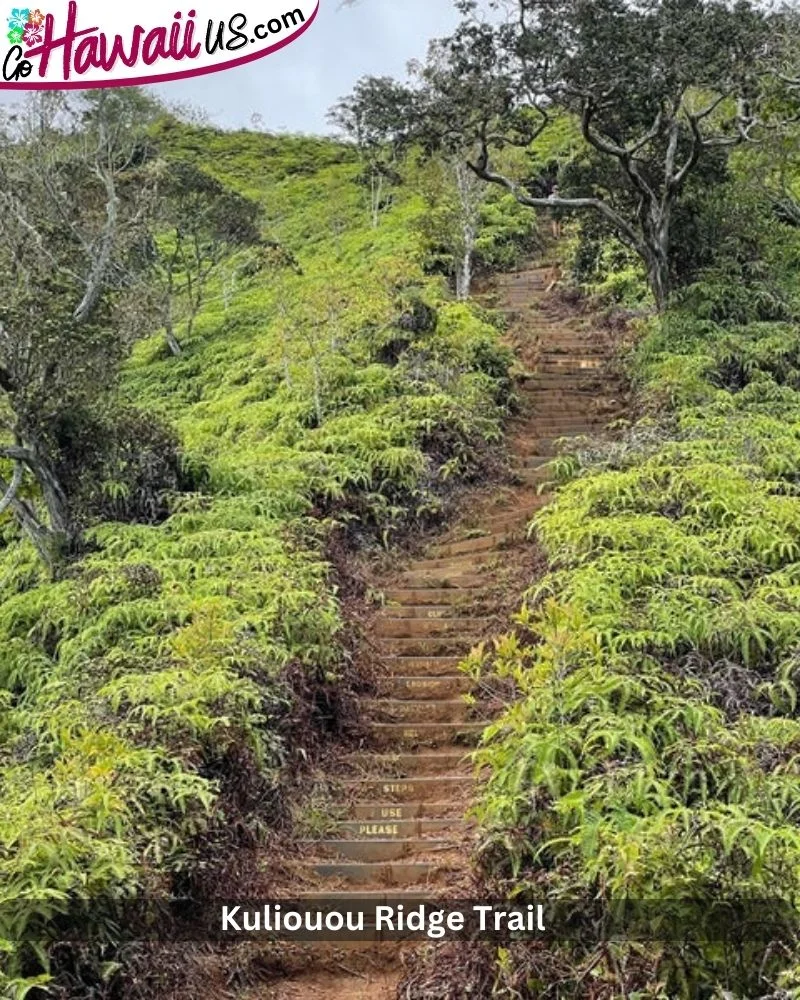 Kuliouou Ridge Trail