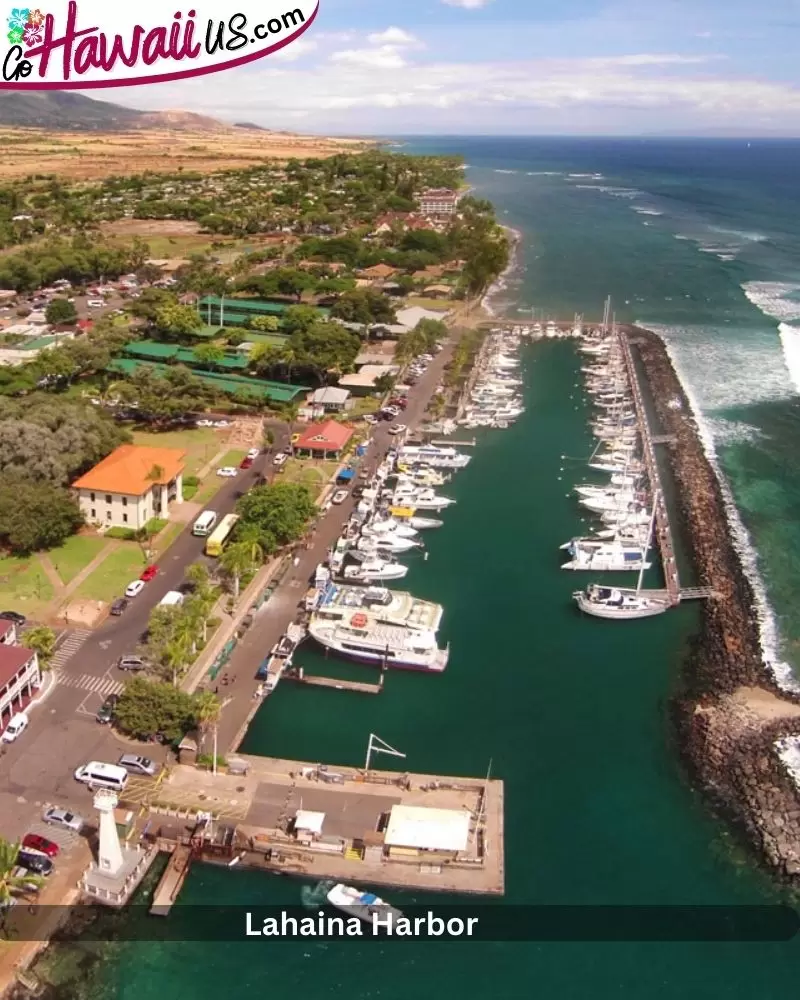 Lahaina Harbor