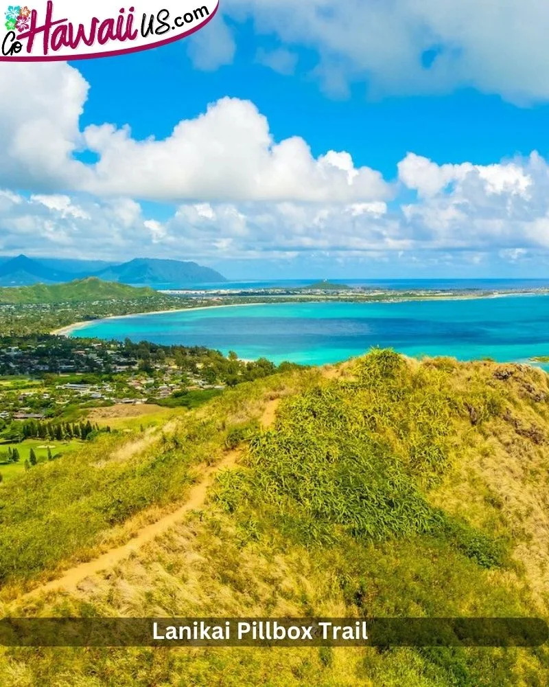 Lanikai Pillbox Trail 