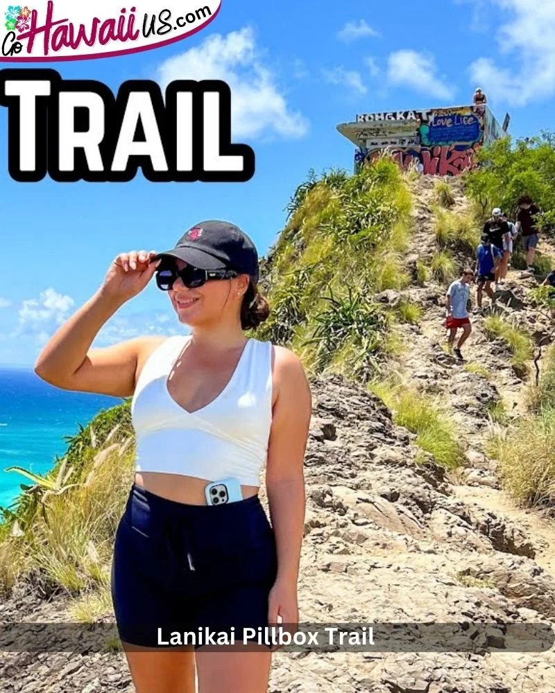 Lanikai Pillbox Trail