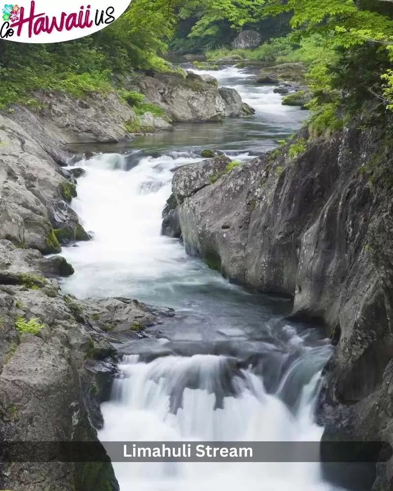 Limahuli Stream