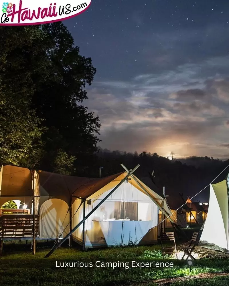 Luxurious Camping Experience