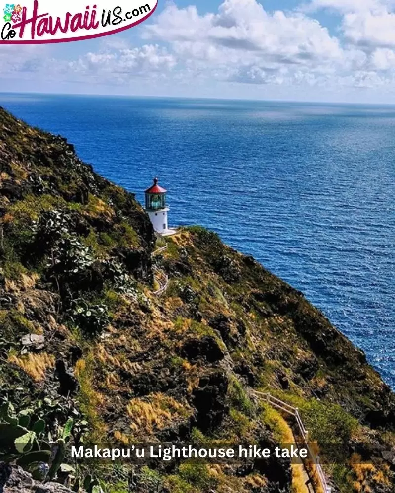Makapu’u Lighthouse hike take