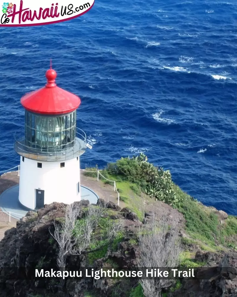  Makapuu Lighthouse Hike Trail