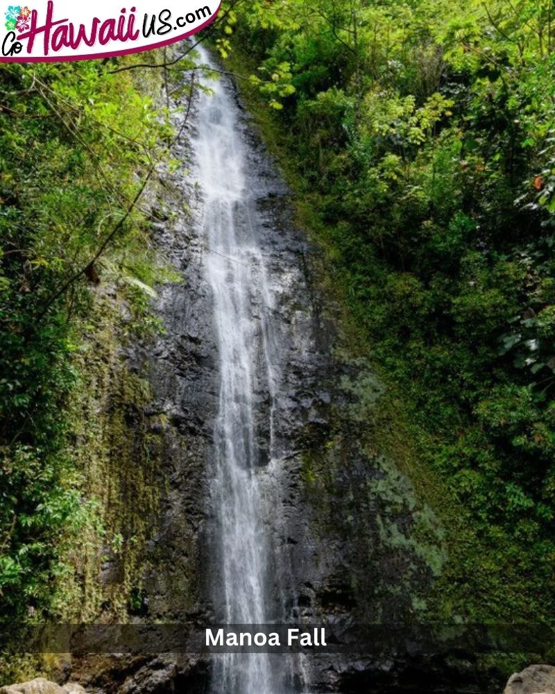 Manoa Fall