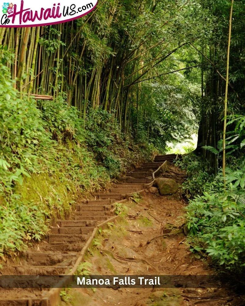  Manoa Falls Trail