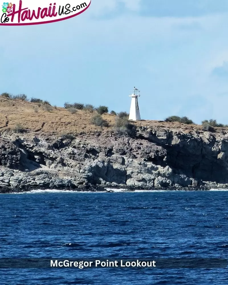 McGregor Point Lookout