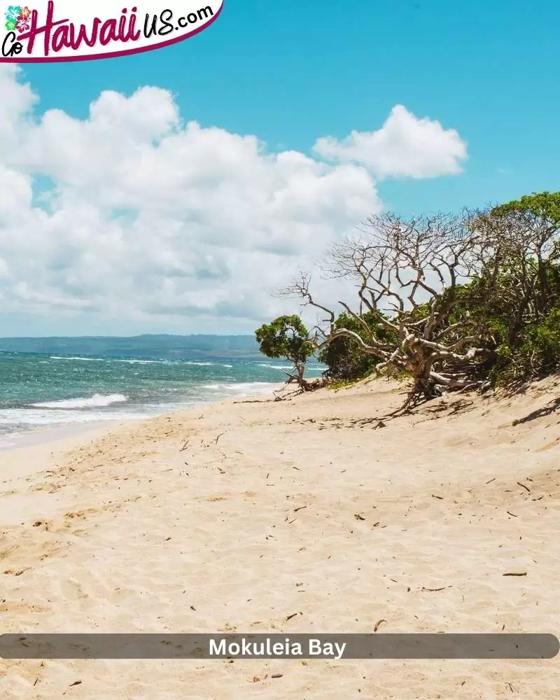 Mokuleia Bay