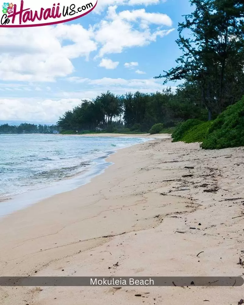 Mokuleia Beach