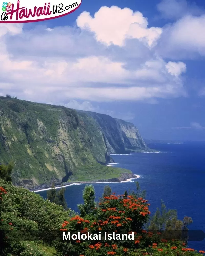 Molokai Island