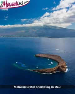Molokini Crater Snorkeling In Maui