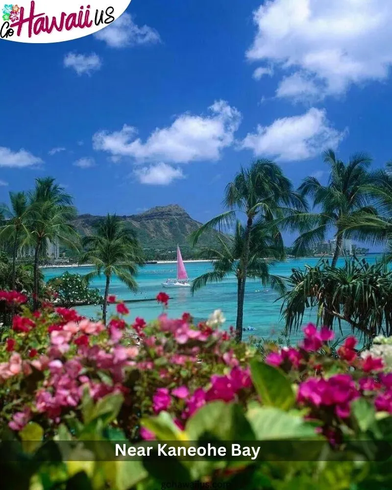 Near Kaneohe Bay