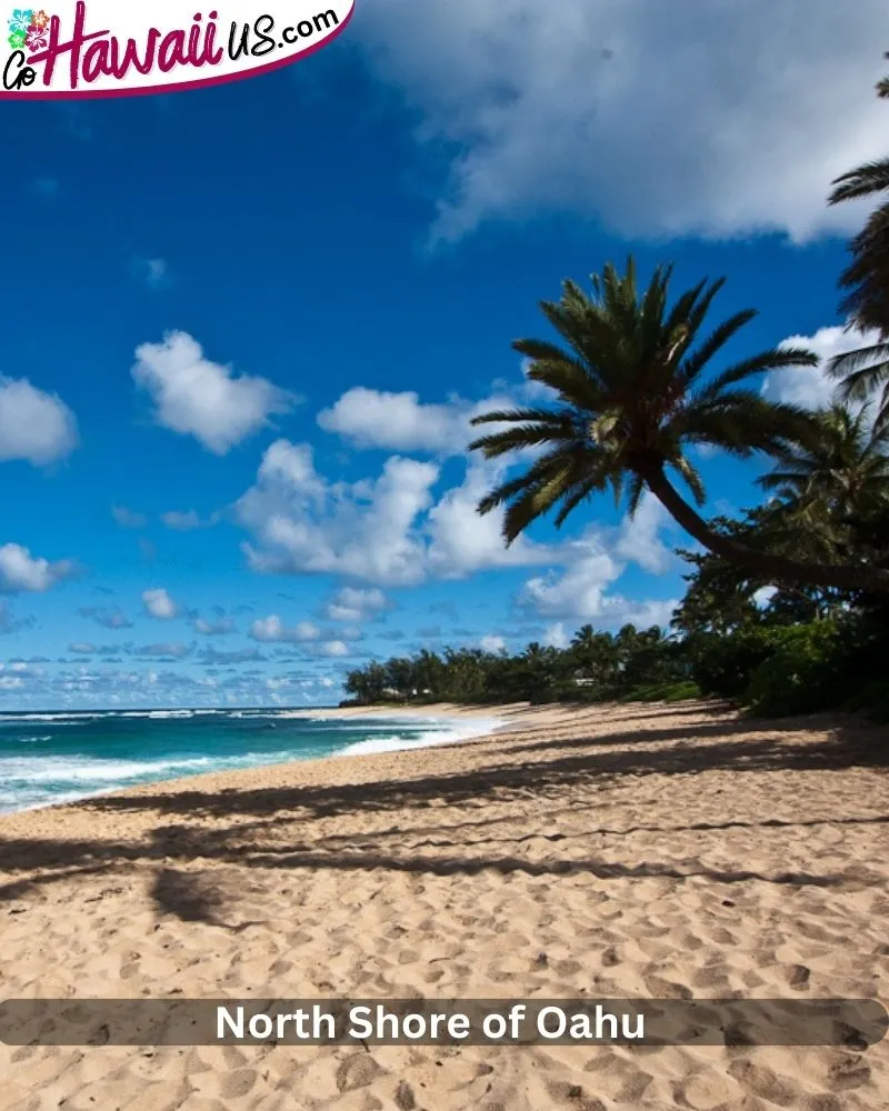 Spend a Day on the North Shore of Oahu