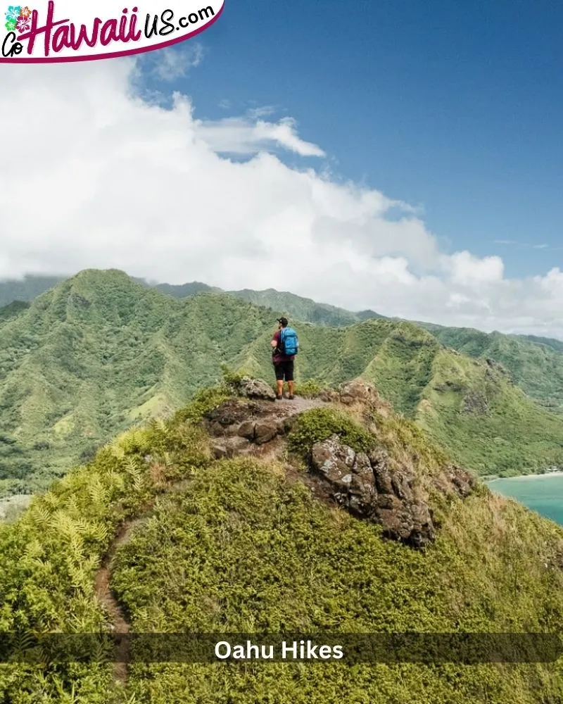 Oahu Hikes