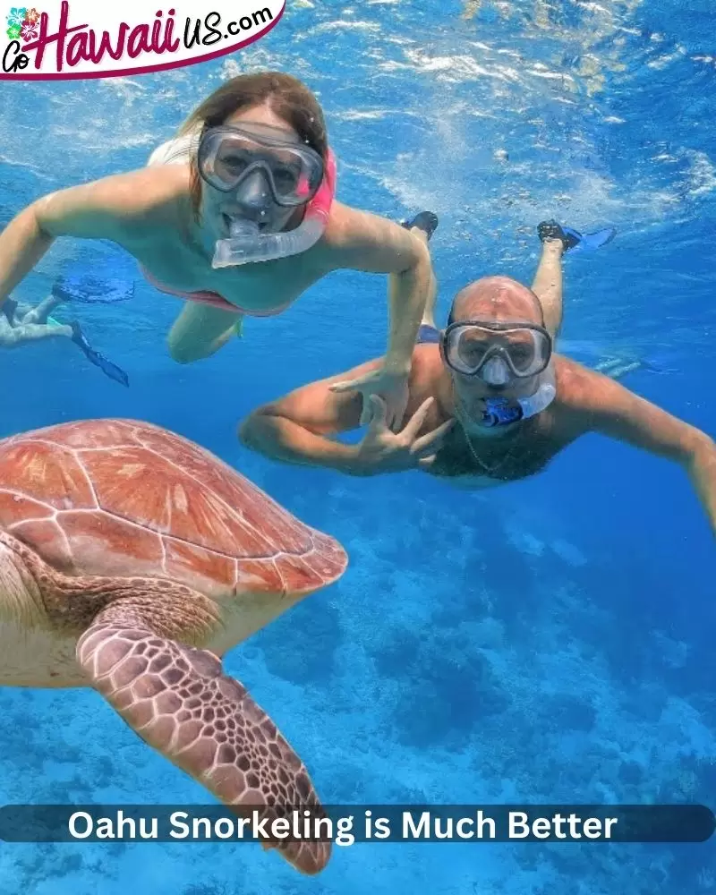 Oahu Snorkeling is Much Better