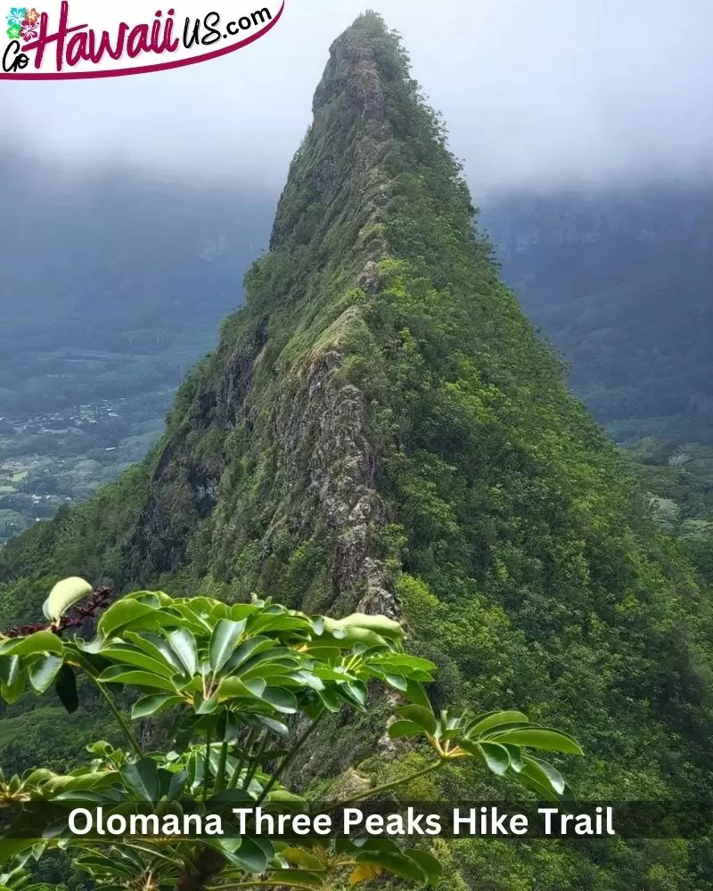 Olomana Three Peaks Hike Trail