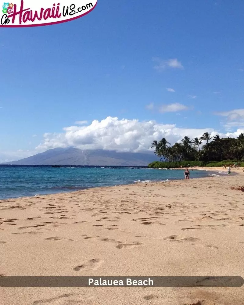 Palauea Beach