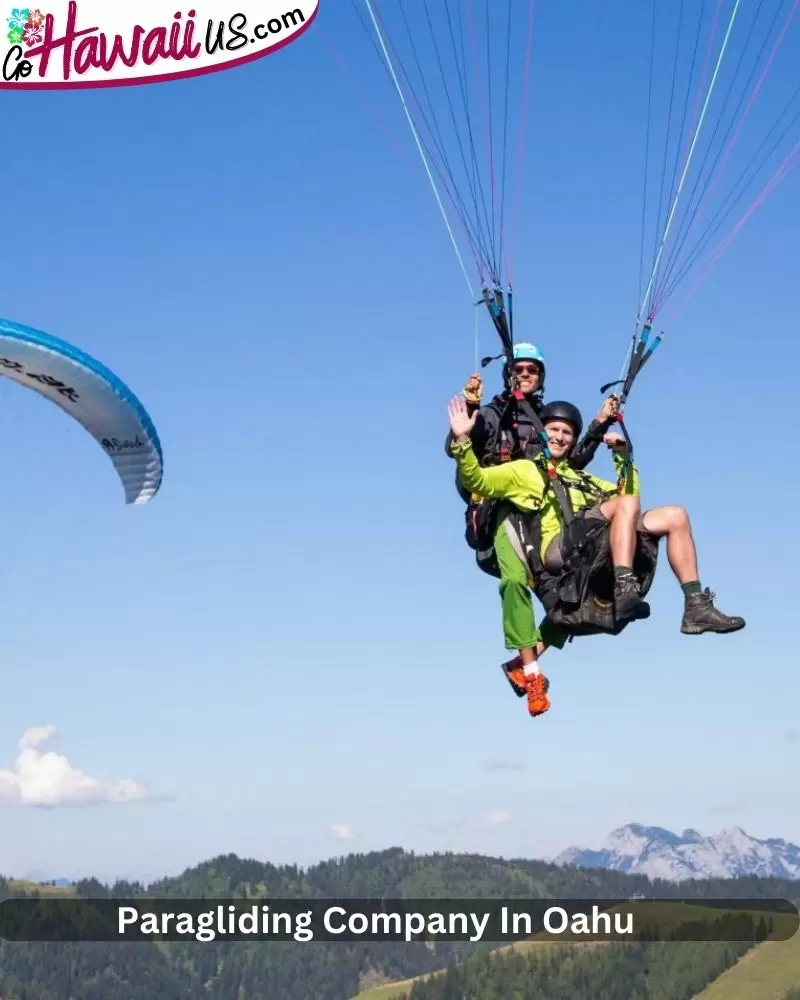 Paragliding Company In Oahu