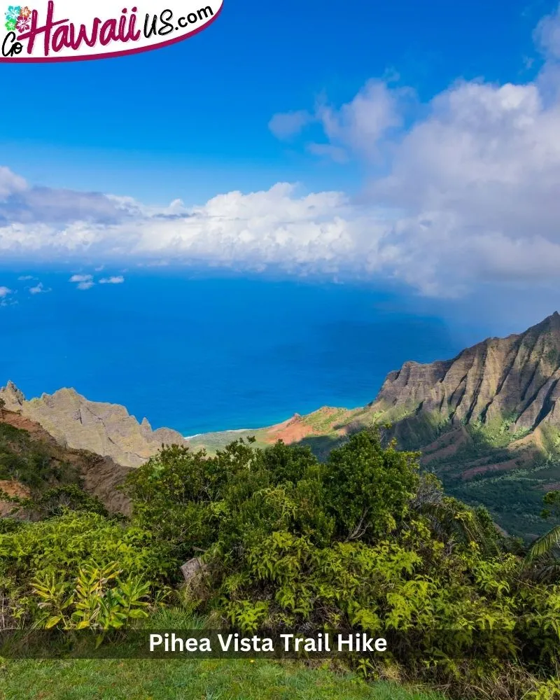 Wai Koa Loop Trail Hike