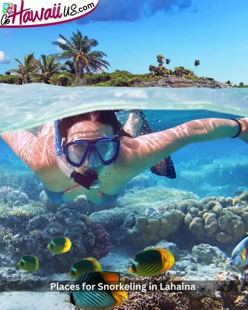 Places for Snorkeling in Lahaina