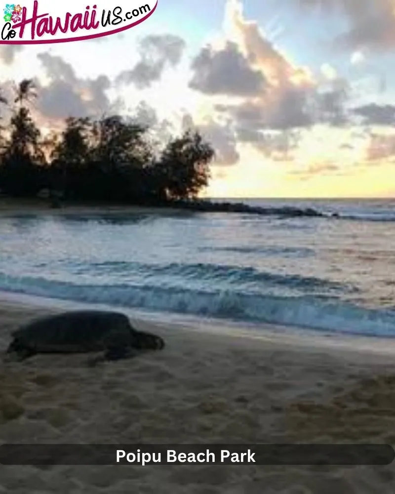 Poipu Beach Park,