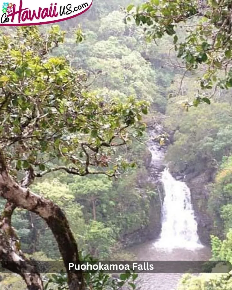 Puohokamoa Falls