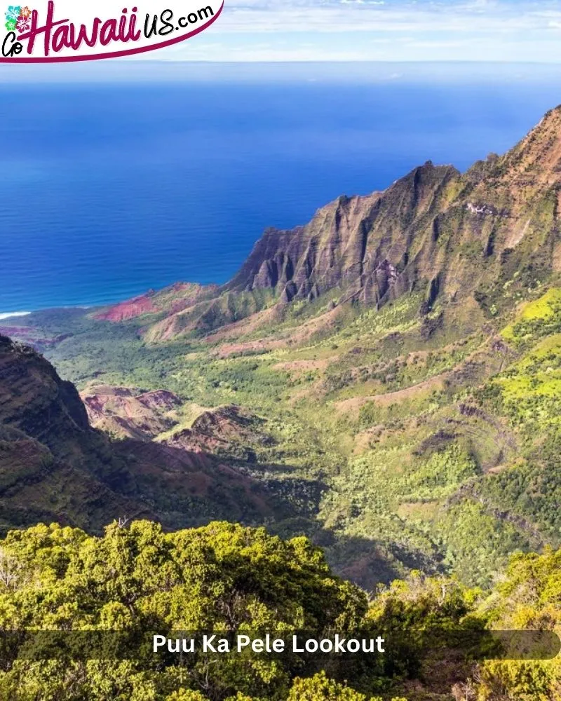 Puu Ka Pele Lookout