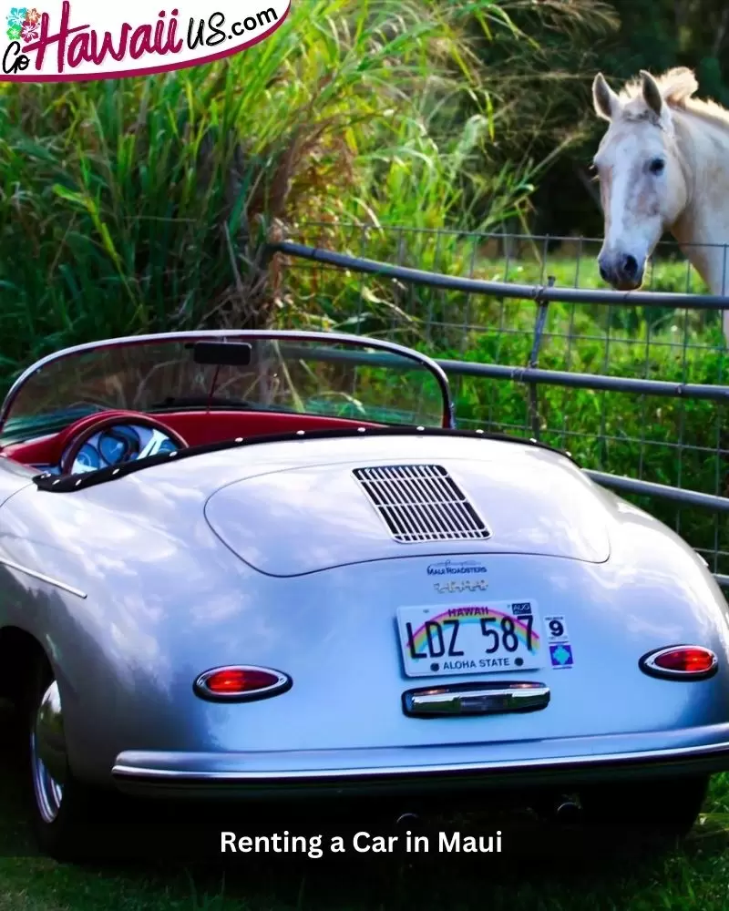 Renting a Car in Maui