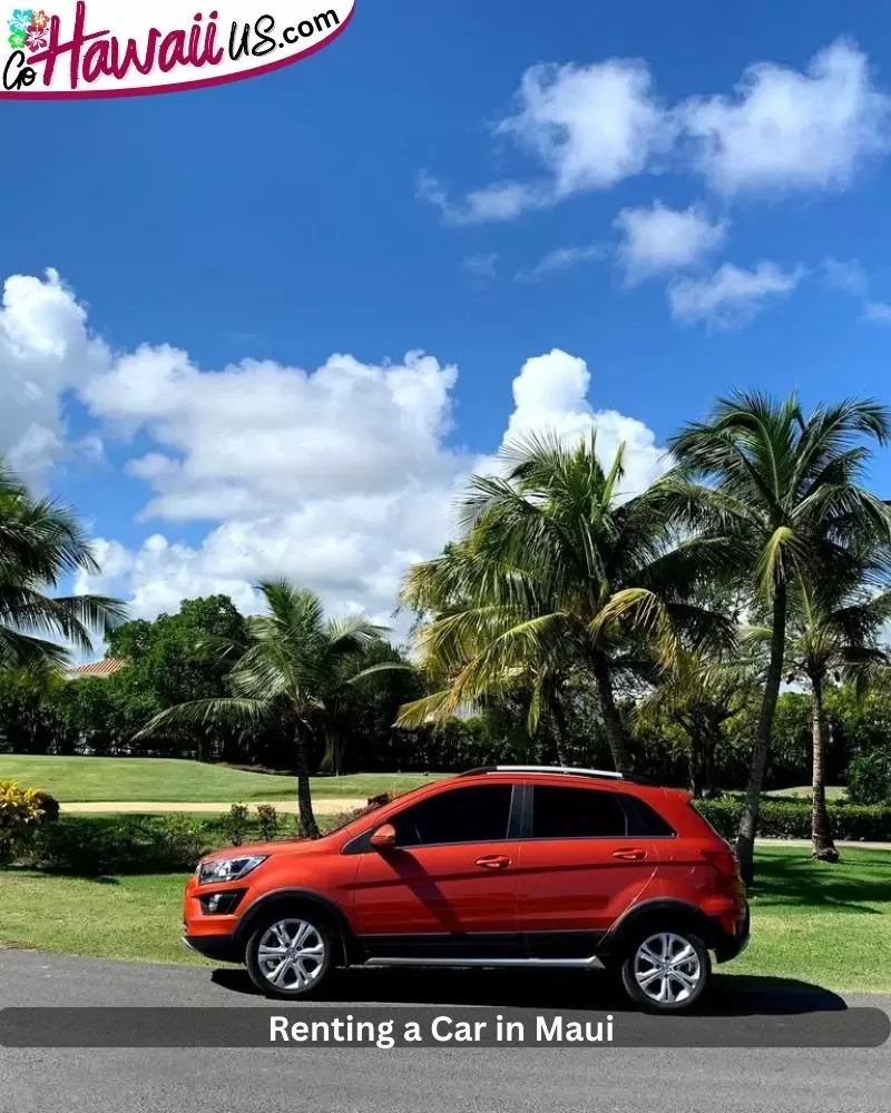 Renting a Car in Maui