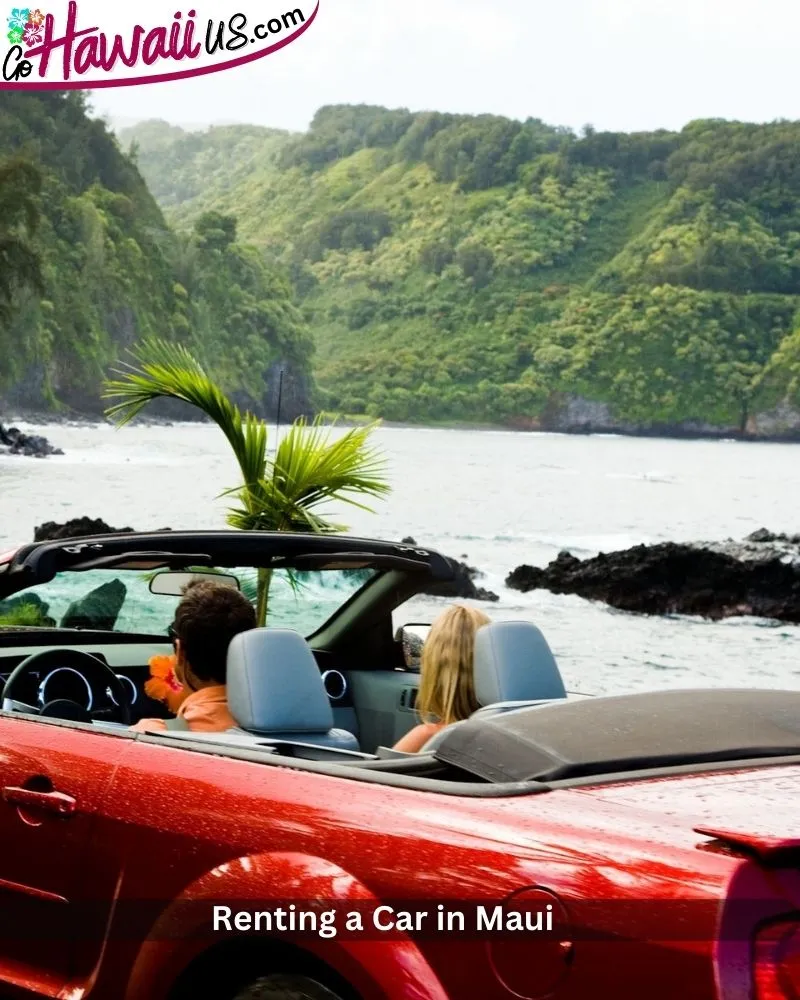 Renting a Car in Maui